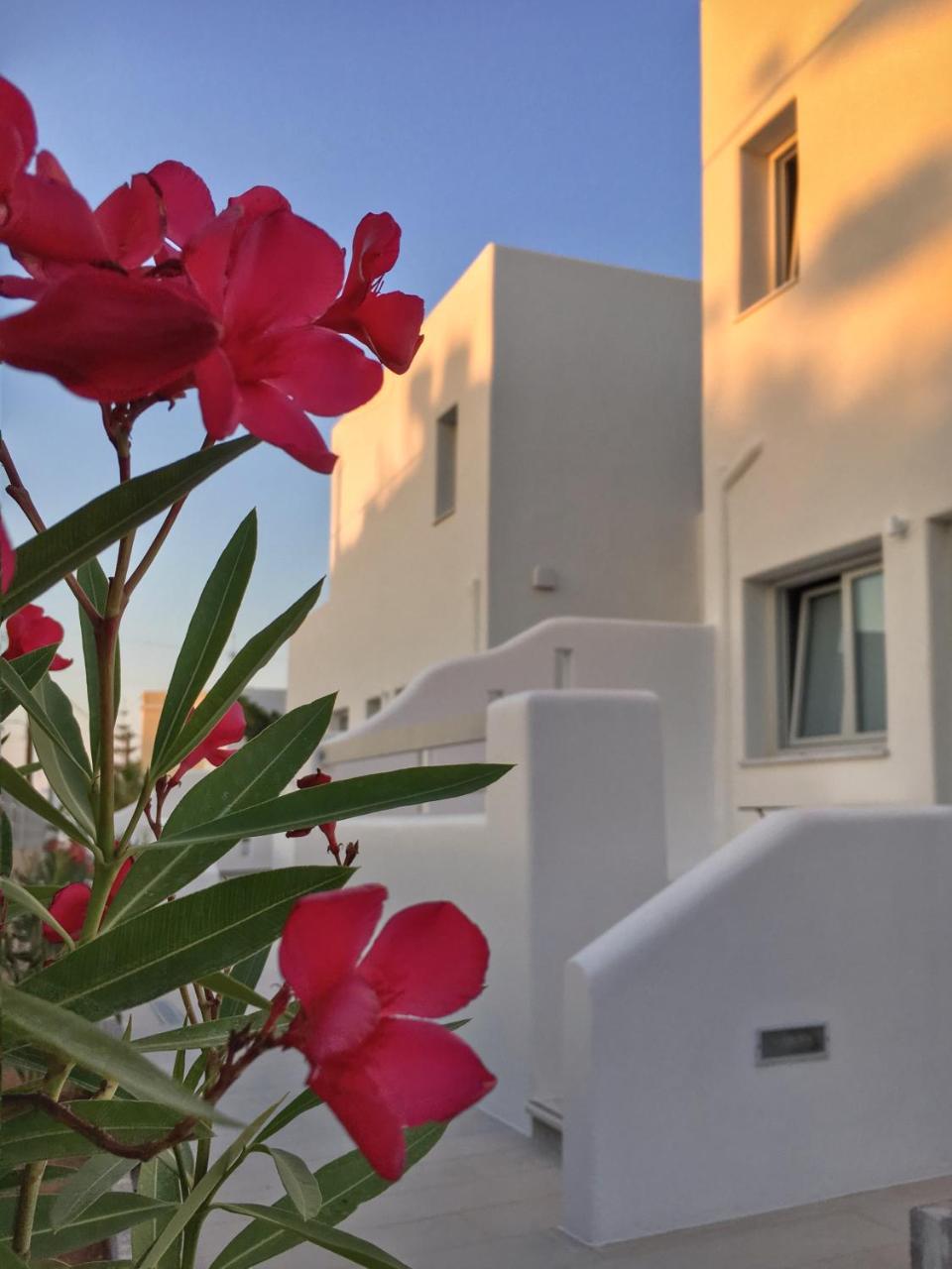 Quartano Luxury Cycladic Residence, Adults Only Naousa Eksteriør bilde